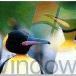 Installing Linux OS To Run Windows Application